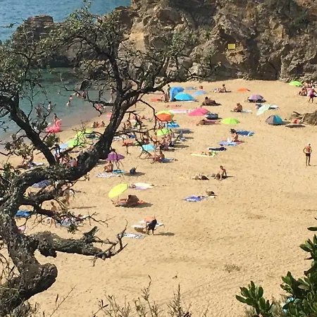 Hotel Le Clos Des Sept Palmiers Cavalaire-sur-Mer